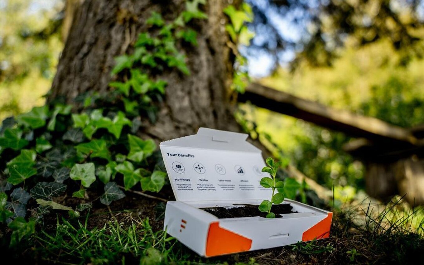 Faserform-Verpackung mit Pflanze vor einem Baum – Symbol für nachhaltige, recyclingfähige und PPWR-konforme Pharma-Verpackungslösungen