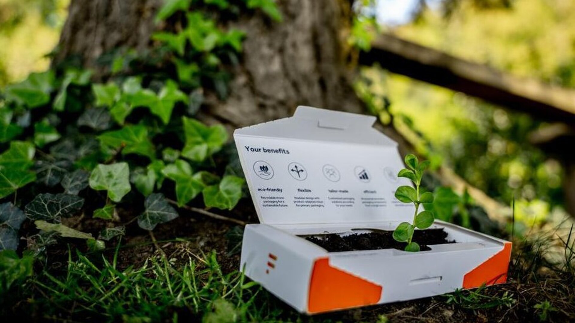 [Translate to Francais:] 