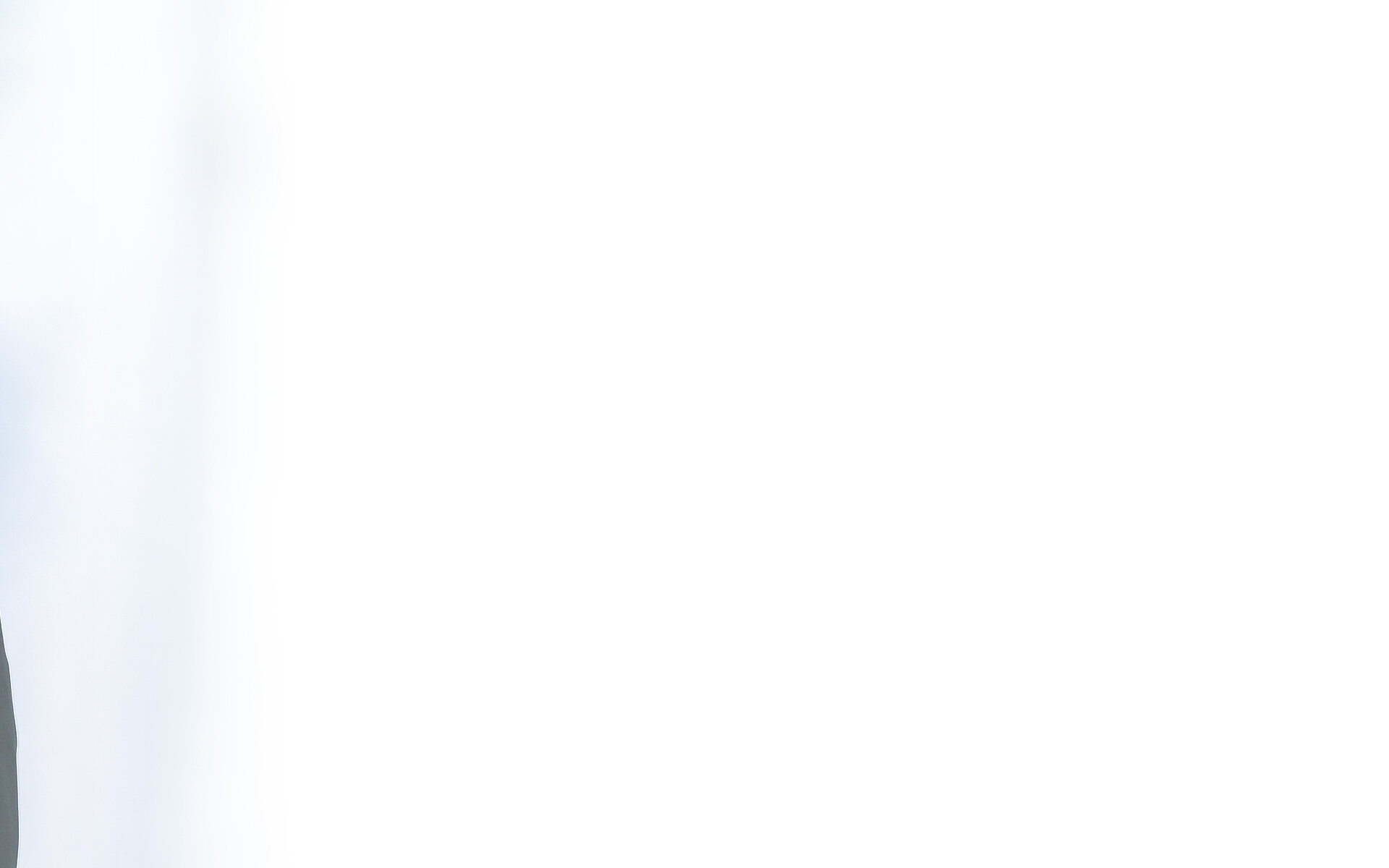 Head Regional Business Team Dunja Gehring