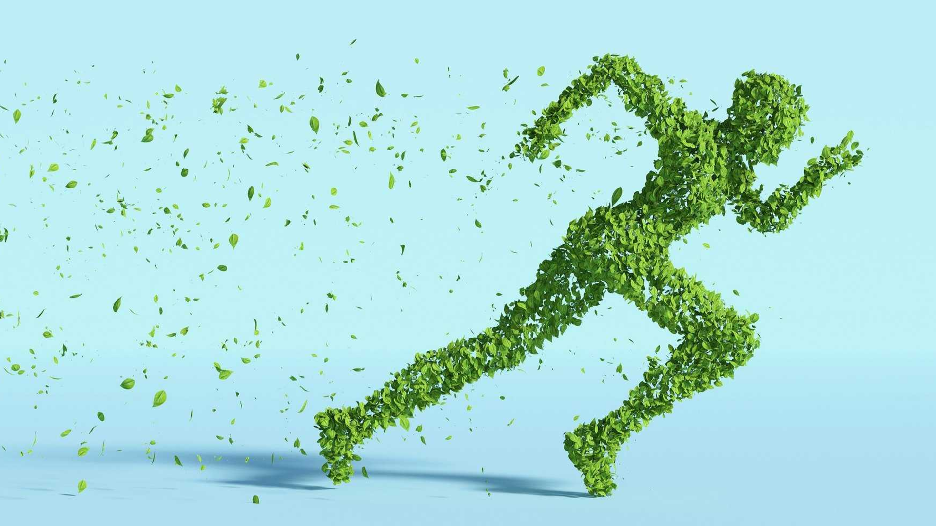 [Translate to English:] 